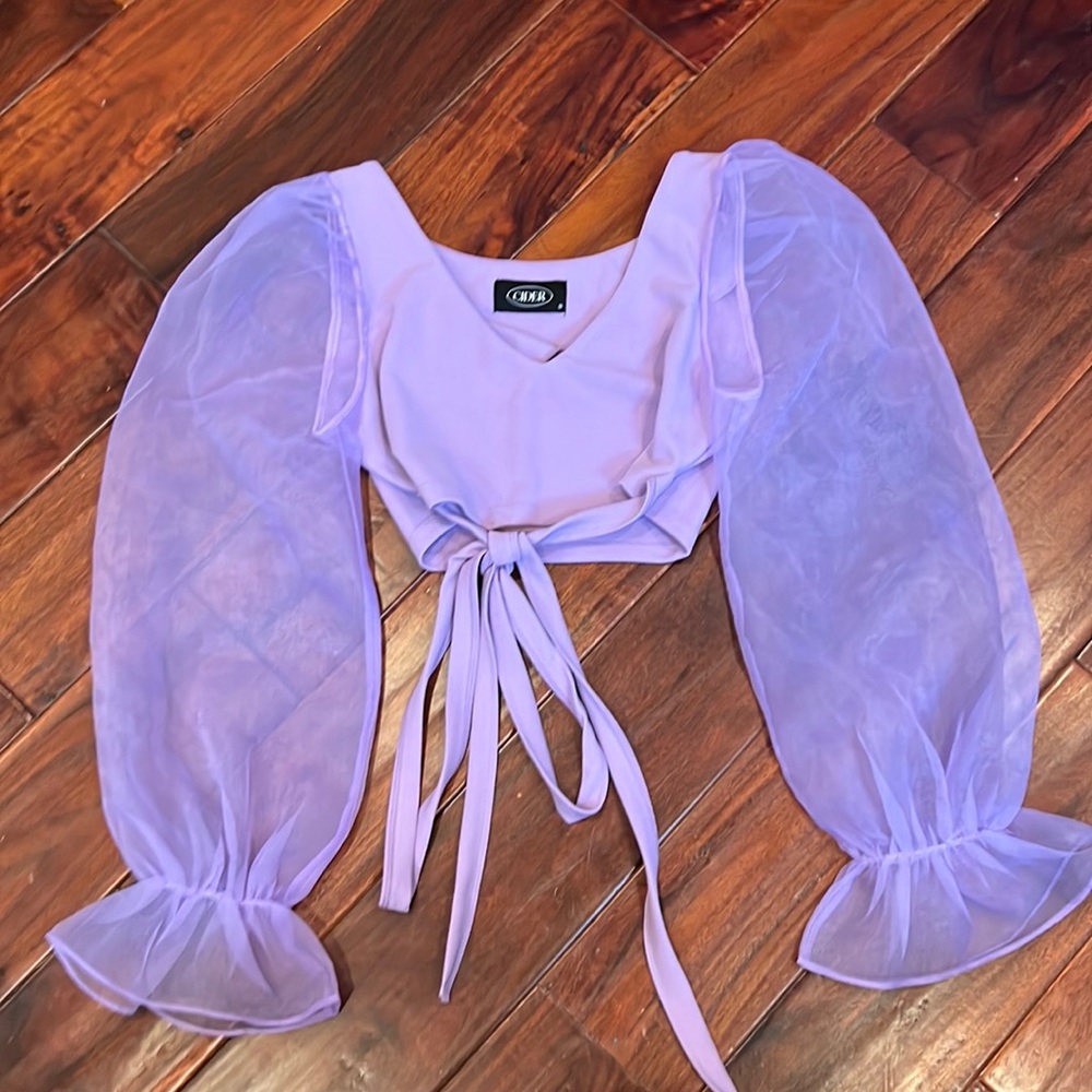 Lavender colored,  poofy sleeved crop top. Sheer arms. Long sleeves.